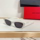 YSL Eyeglasses