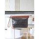 Goyard BAGS