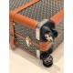 Goyard Suitcase