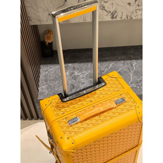 Goyard Suitcase