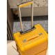 Goyard Suitcase