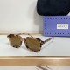 Gucci Eyeglasses