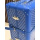 Goyard Suitcase